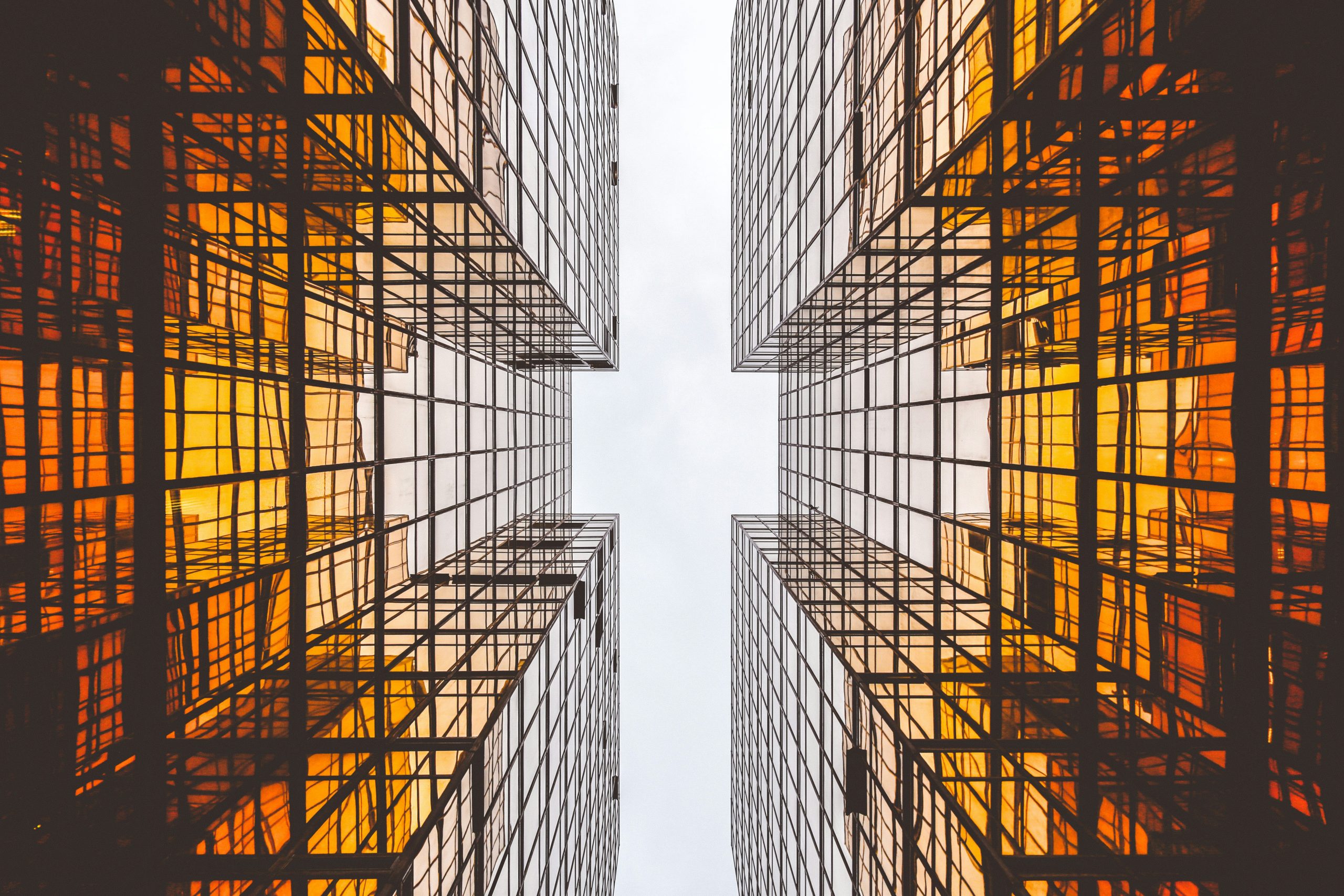 alex wong l5Tzv1alcps unsplash scaled